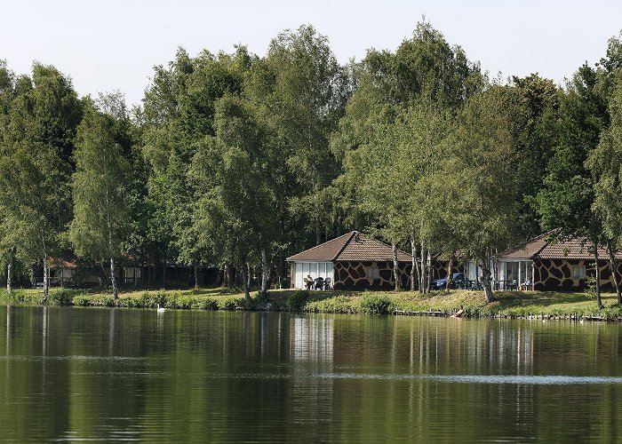 Speelland Beekse Bergen Frequently asked questions fire Holiday Park | Beekse Bergen photo