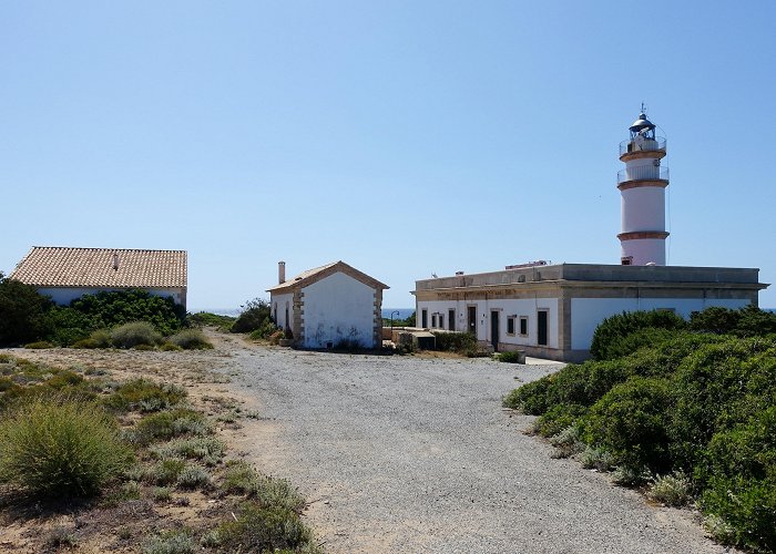 Cabo Salinas Cap de Ses Salines Tours - Book Now | Expedia photo