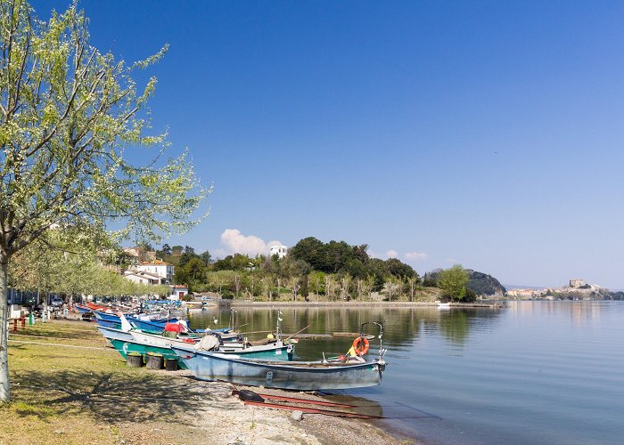 Canoa Club Rimini Things to Do in Marta in 2024 | Expedia photo