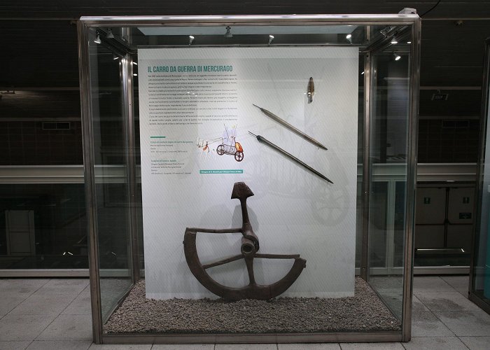 Museo Civico Archeologico LIVING ON WATER, Exhibition Royal Museums Turin, Turin | Artsupp photo