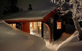 Vila Bjerkely, Sjusjoen Exterior photo