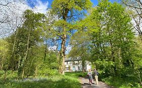 Penzion Blackhill Woods Retreat Abbeyleix Exterior photo