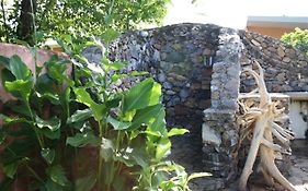 Vila Palm-Covered House In The Tropical -Casa Oli Las Galeras Exterior photo