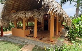 Vila Casa 3 Amigos-Palm Roofed House Las Galeras Exterior photo