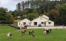 Vila Muckross Riding Stables Killarney Exterior photo