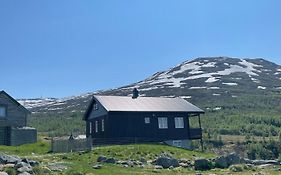 Apartmán Bjorgo Gard - Stegastein Aurland Exterior photo