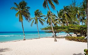 Coconut Court Beach Hotel Christ Church Exterior photo