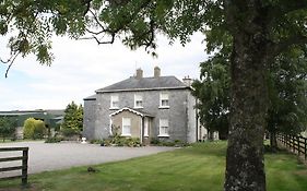 Moate Lodge Athy Exterior photo