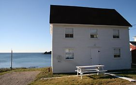 Vila The Old Salt Box Co - Gertie'S Place Twillingate Exterior photo