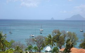 Apartmán Palm'Studio Anse De Caritan Sainte-Anne Exterior photo