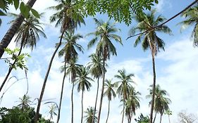 Penzion Centre Touristique Et Culturel Casamance Diakene Ouolof Exterior photo