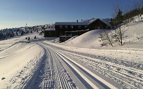 Apartmán Sulseter Fjellstugu Vinstra Exterior photo