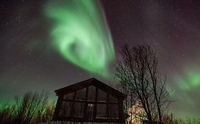 Vila Aurora View Cabin Lyngseidet Exterior photo