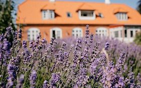 Jungshoved Praestegard B&B Præstø Exterior photo