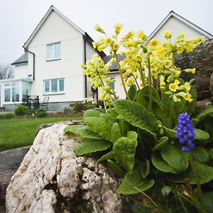 Bed and Breakfast Copper Meadow Launceston Exterior photo