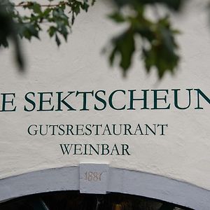 Hotel Weingut Und Gaestehaus Zilliken Nittel Exterior photo