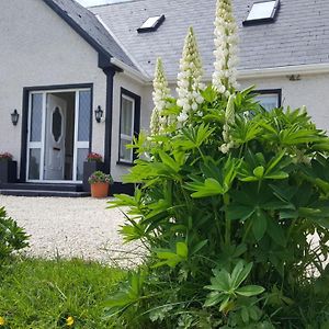 Bed and Breakfast An Charraig Ban On The Wild Atlantic Way F94Wt02 Ardara Exterior photo