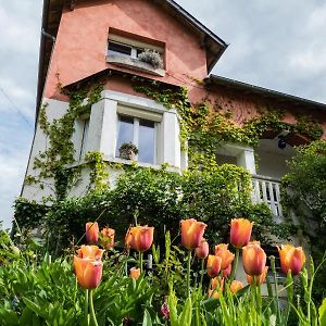 Bed and Breakfast L'Abri Du Viaduc Saint-Satur Exterior photo