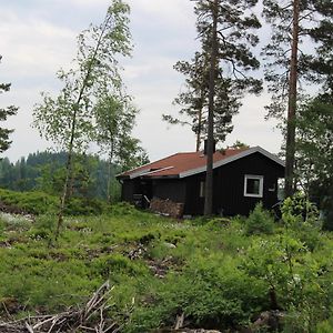 Fossheim Two-Bedroom Cottage Birkeland Exterior photo