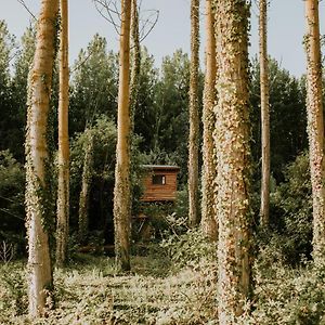 Apartmán Bonita Cabana De Los Arboles En La Rioja , Durmiendo Entre Arboles Anguciana Exterior photo