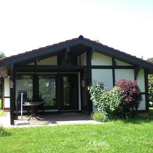 Vila Detached, Tidy Bungalow On Katzenbuckel Mountain Waldbrunn  Exterior photo