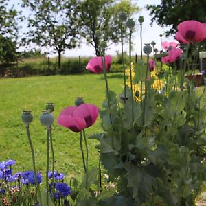 Bed and Breakfast Le Gite De La Grange De Broustic Lahosse Exterior photo