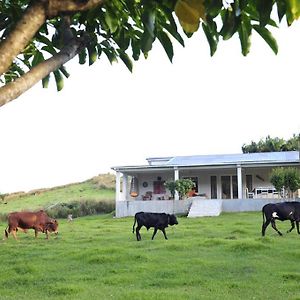 Vila Letan Lontan Latanier Exterior photo