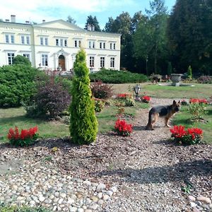 Hotel Palac Kwilecki -Agroturystyka Premium & Spa Kwilcz Exterior photo