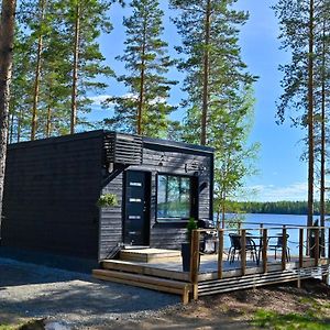 Vila Top Star Lakeland Viitasaari Exterior photo