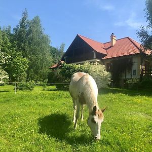 Bed and Breakfast Modryna Ranczo Krasiczyn Exterior photo