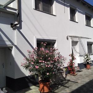 Apartmán Ferienhaus Fam. Bisgen Niederkirchen bei Deidesheim Exterior photo