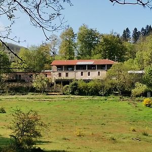 Bed and Breakfast B And B Sycomore, La Bouriotte Labastide-Rouairoux Exterior photo