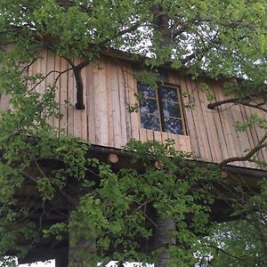 Vila Treehouse Magpies Nest With Bubble Pool Avesta Exterior photo