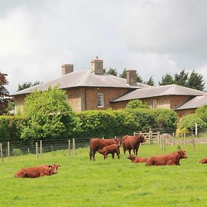 Bed and Breakfast Seawell Towcester Exterior photo