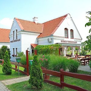 Bed and Breakfast Nyerges Vendegfogado Hegykő Exterior photo