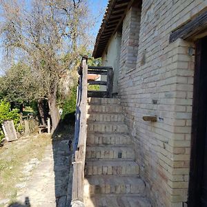 Bed and Breakfast Casa Di Terra Cruda Monsampolo Del Tronto Exterior photo