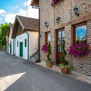 Penzion Podrumi Kolar "Suza Baranje" Kneževi Vinogradi Exterior photo