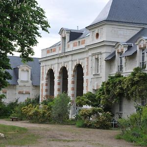 Apartmán L'Orangerie Du Chateau - Le Nid - Gite 2 Personnes Brain-sur-Allonnes Exterior photo