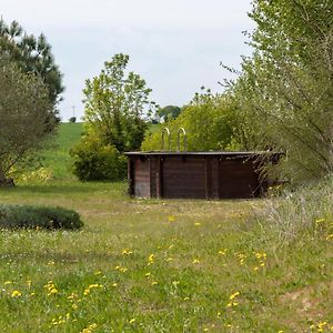 Vila La Decouverte, Jacuzzi, Sauna, Et Terrasse Avec Vue Sur Lac A La Campagne Entre Toulouse Et Auch Catonvielle Exterior photo