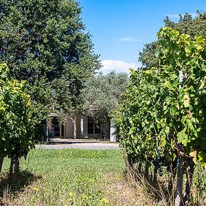 Bed and Breakfast Au Detour Des Vignes Ordonnac Exterior photo