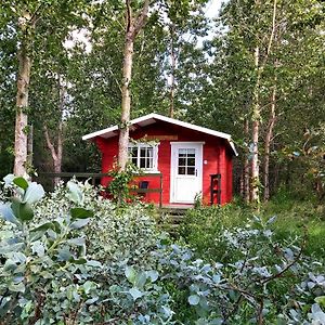 Apartmán Bakkakot 3 Cozy Cabin In The Woods Akureyri Exterior photo