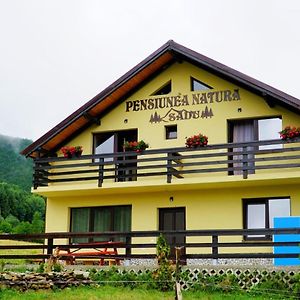 Pensiunea Natura Sadu Sibiu Exterior photo