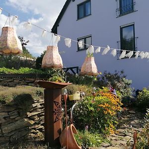 Apartmán Im Erzgebirge Wandern, Fahrrad Fahren Oder Entspannen Ehrenfriedersdorf Exterior photo