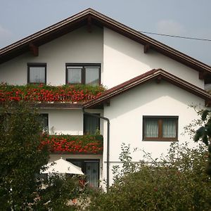 Bed and Breakfast Haus Stuttgart Obernberg am Inn Exterior photo