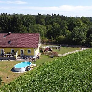 Apartmán Haus Sonberg Mit Garten, Pool, Fasssauna, Semi Detached House With Garden Deutschlandsberg Exterior photo