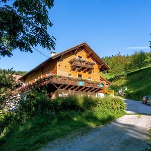 Apartmán Almbauer Morgenbesser Trattenbach  Exterior photo