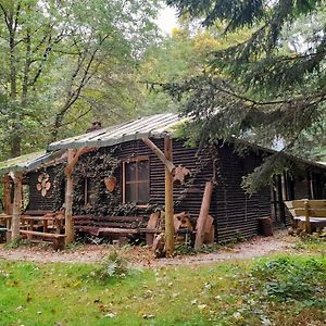 Apartmán Das Wilde Auwaldhaus Bertsdorf Exterior photo