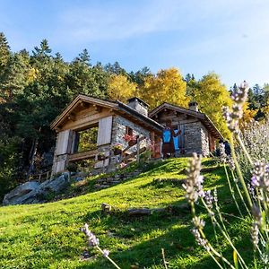 Vila Resalbert Chalet Panorama Chiavenna Exterior photo