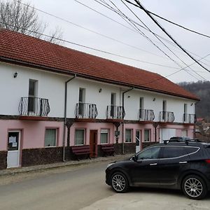 Hotel Pensiunea Lucica Sacelu Exterior photo