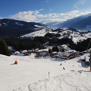 Vila Panorama Chalet Mittersill Exterior photo